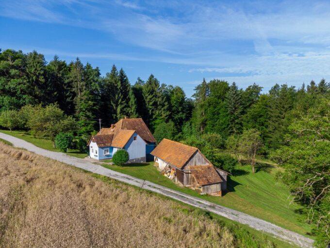 IMMOXX. — Die Immobilien Kanzlei Graz