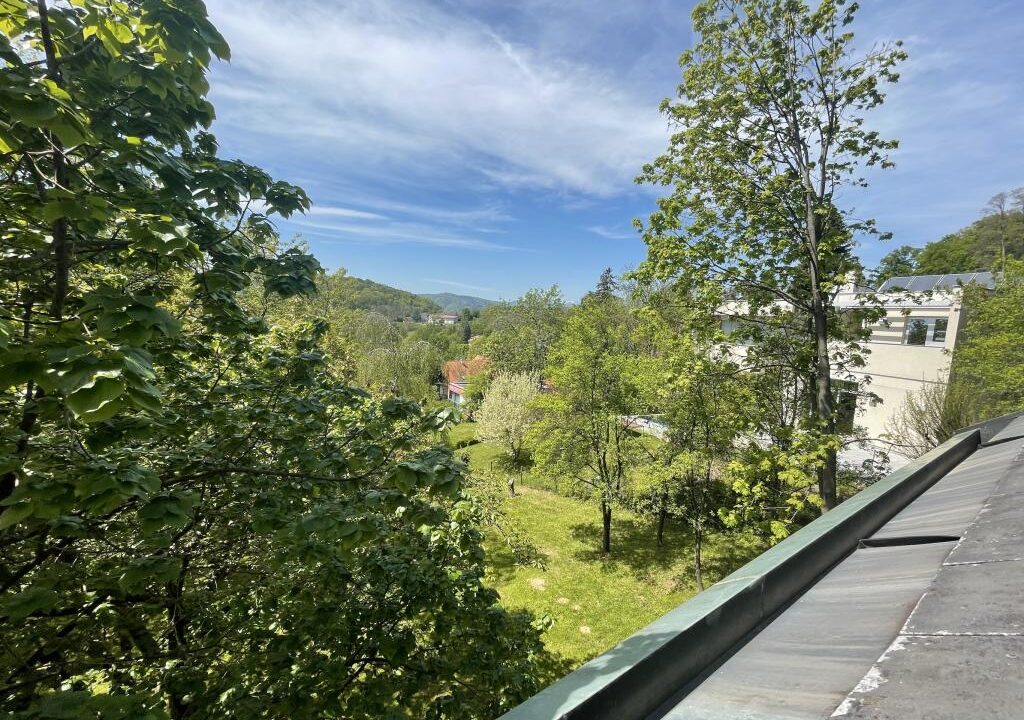 Ausblick Terrasse Jagdsalon