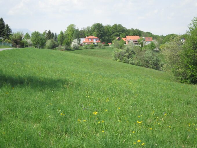 IMMOXX. — Die Immobilien Kanzlei Graz