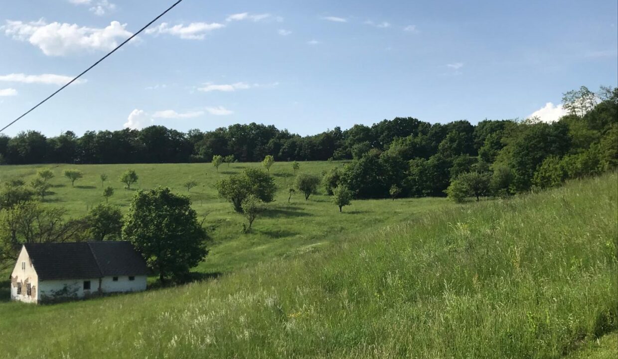 Blick vom Gegenhang