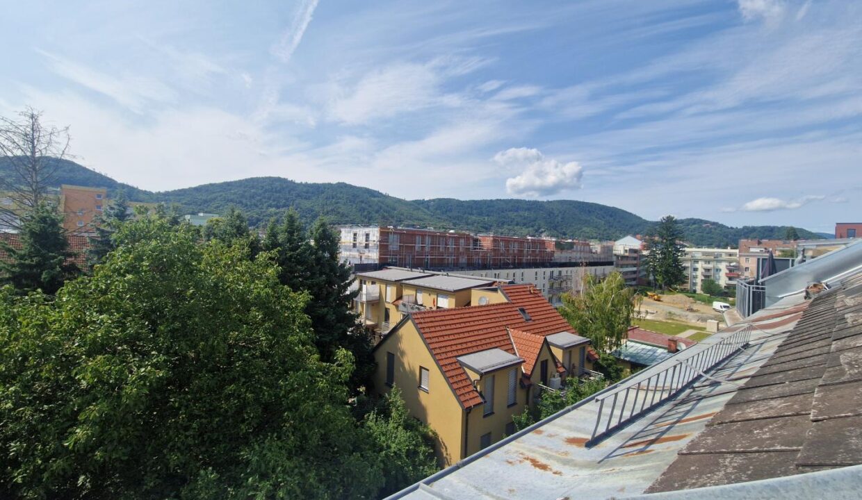 Ausblick