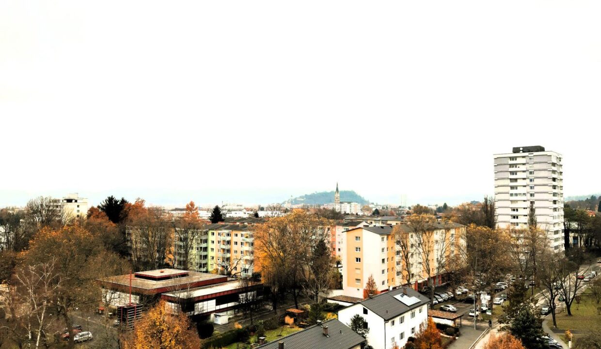 Ausblick