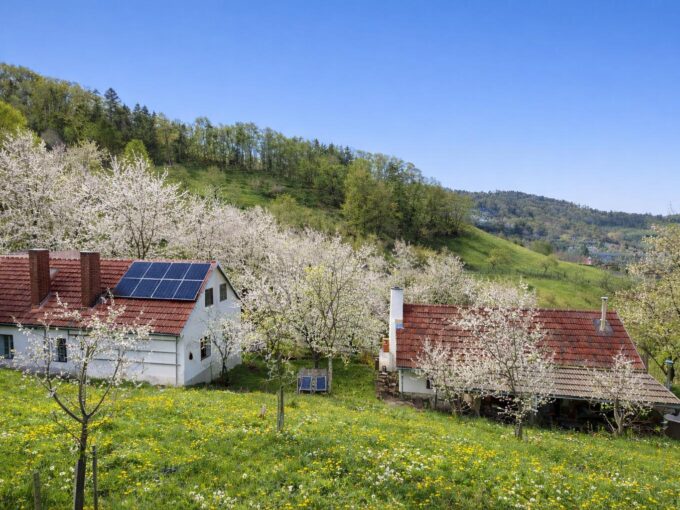 Blick auf die Landwirtschaft — IMMOXX. Immobilien Graz