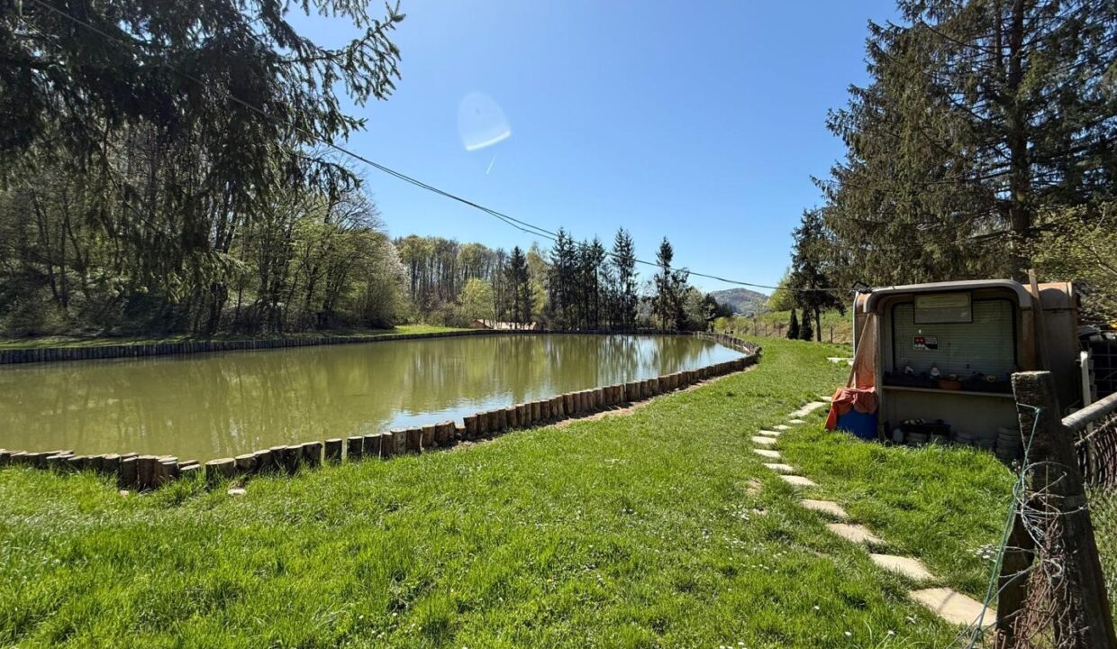Teich I