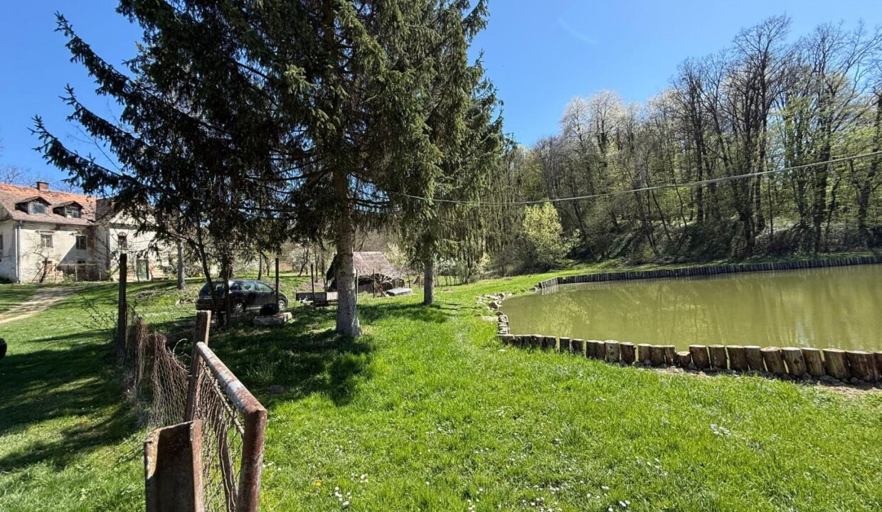 Teich I