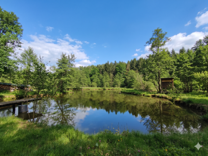 Teich — IMMOXX. Immobilien Graz
