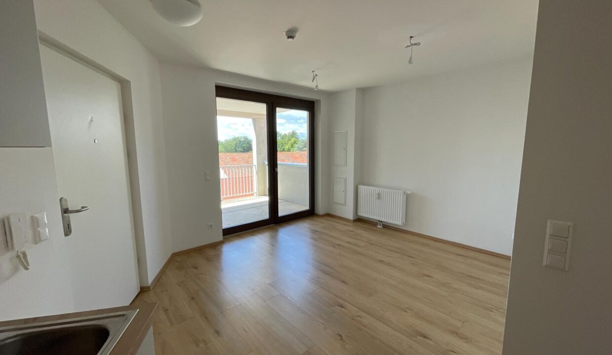 Wohn-Esszimmer